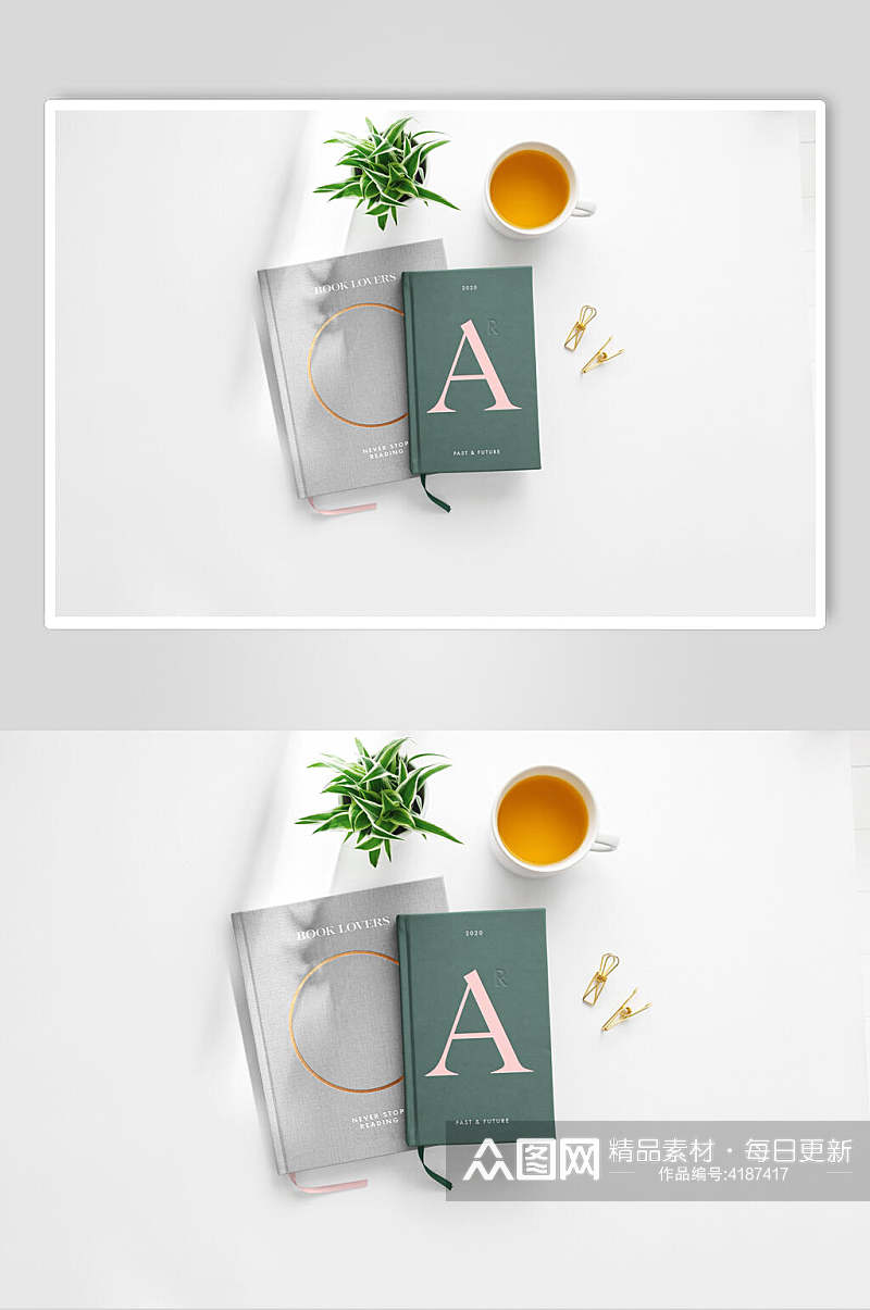 植物英文创意大气灰色书籍封面样机素材