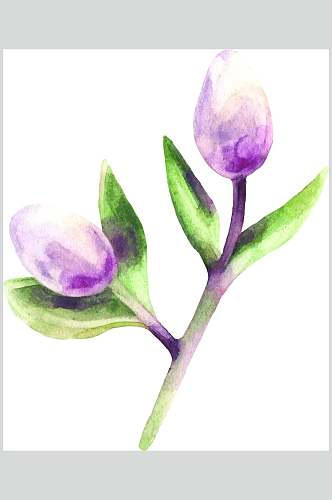紫色花苞水彩动物花卉矢量素材