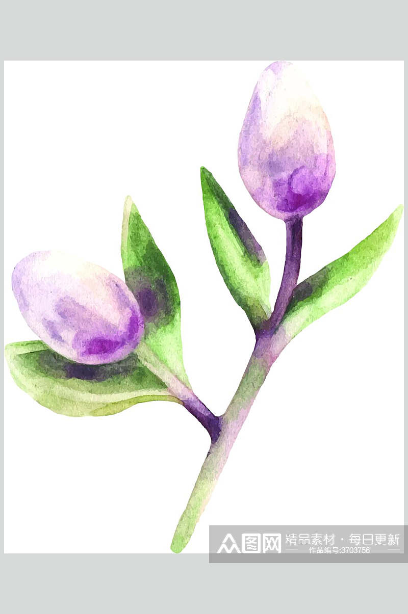 紫色花苞水彩动物花卉矢量素材素材