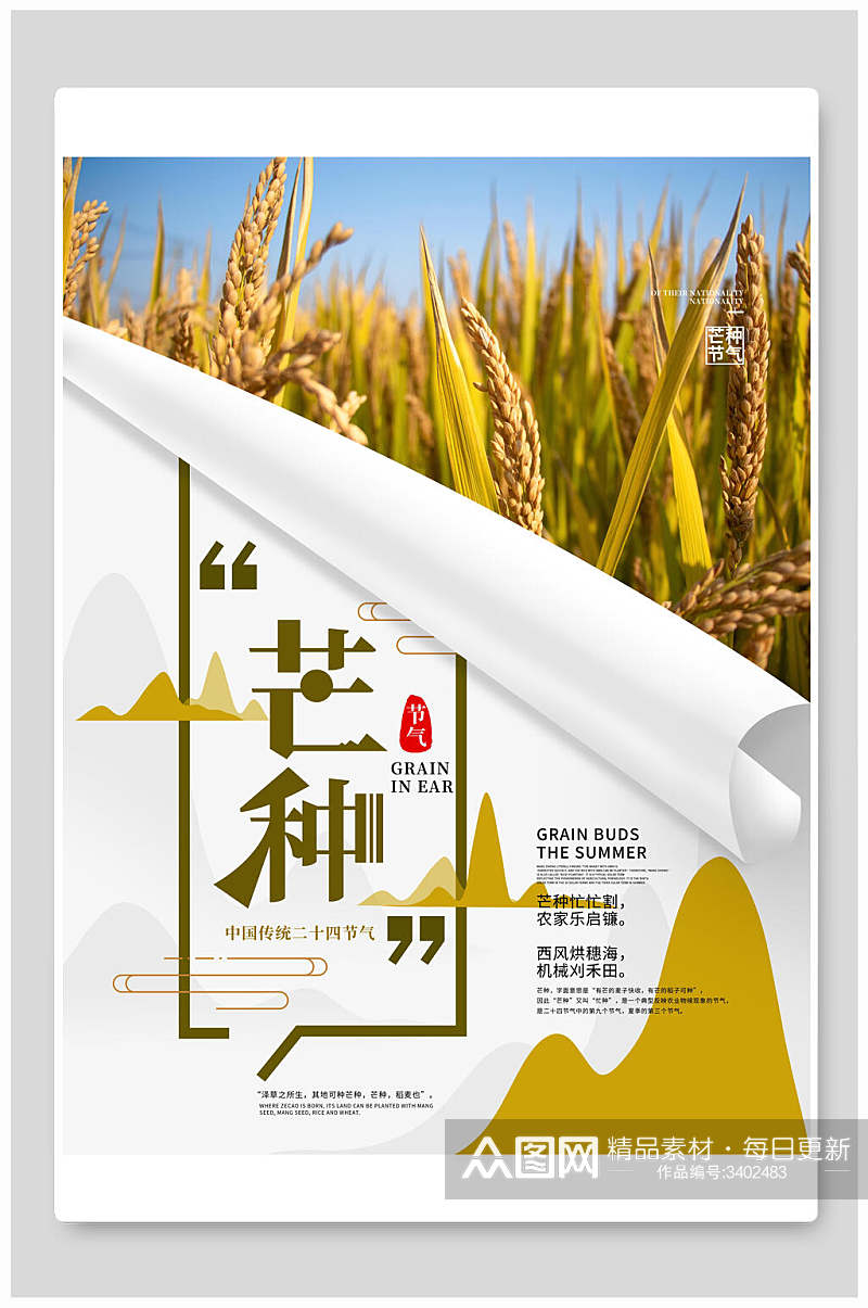 稻米白黄色简约创意高端自然山峰芒种海报素材