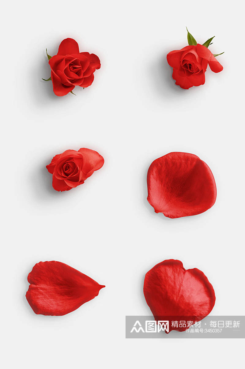 时尚红色花瓣玫瑰花枝叶植物免抠素材素材