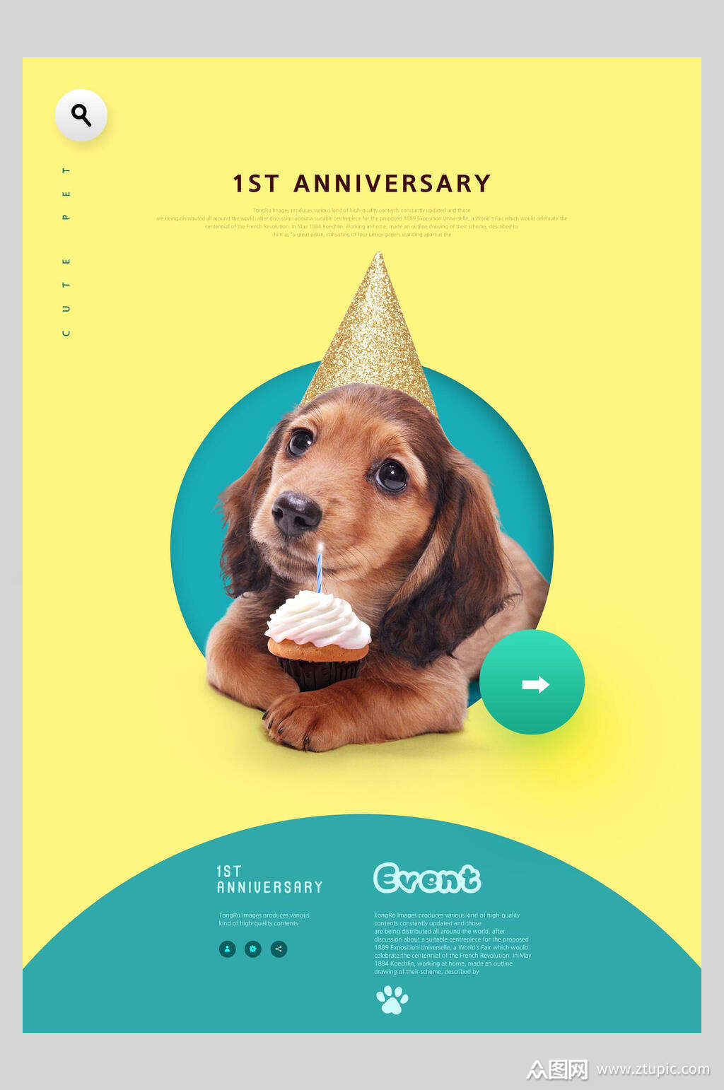 小狗庆生宠物宣传海报素材