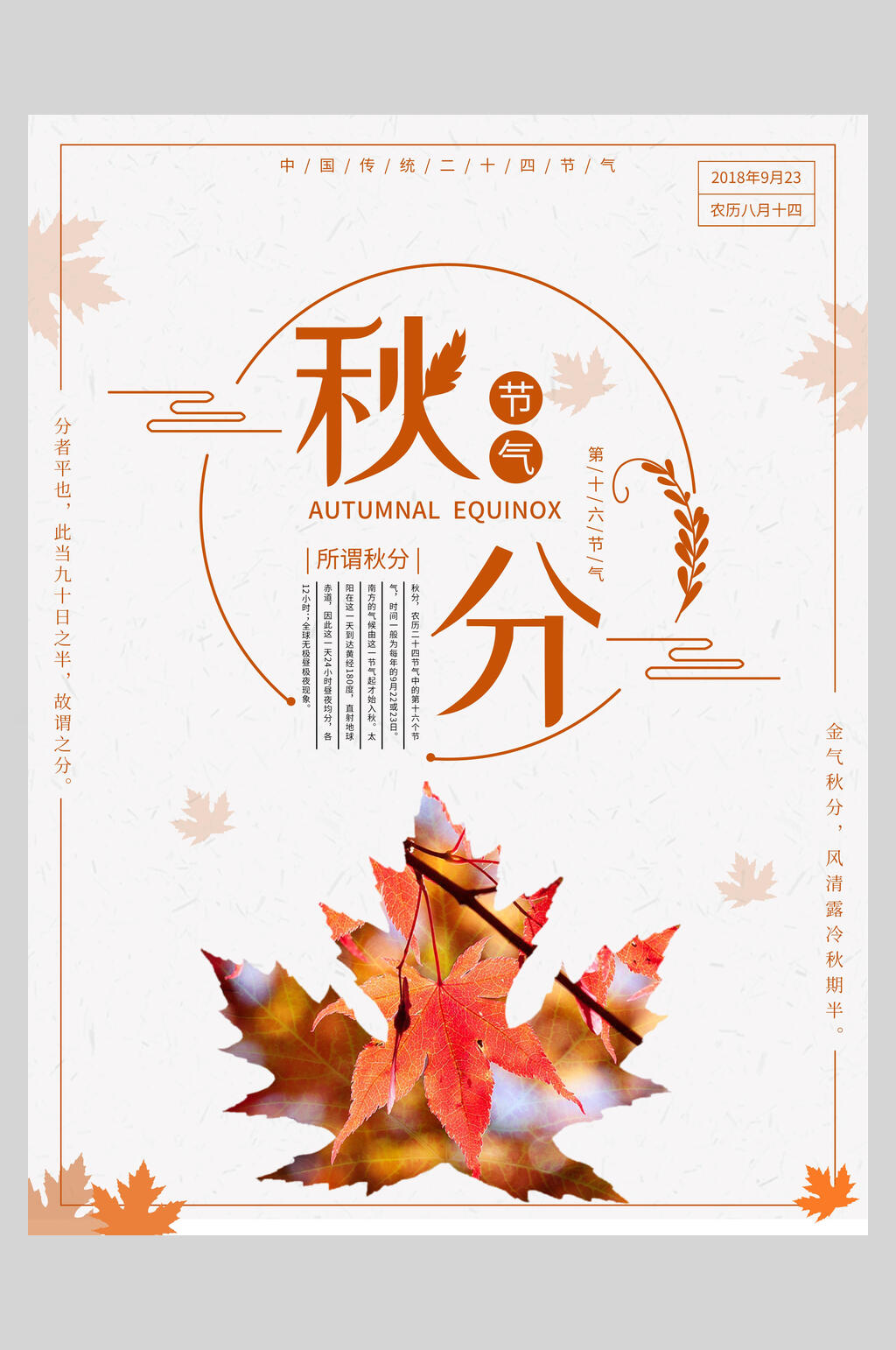 白色枫叶秋分节气海报素材