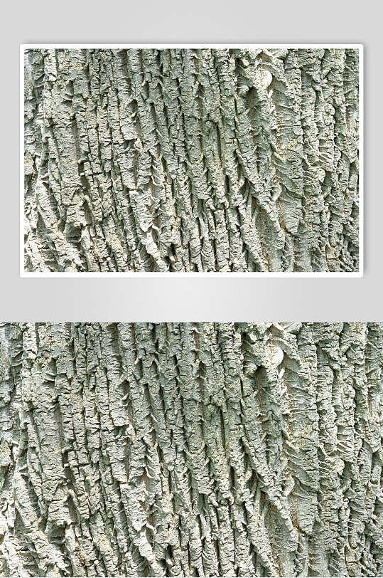 细节放大原始木头木纹图片