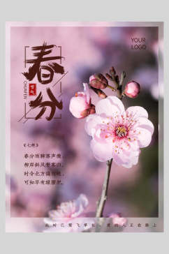 花朵粉色春分节气海报