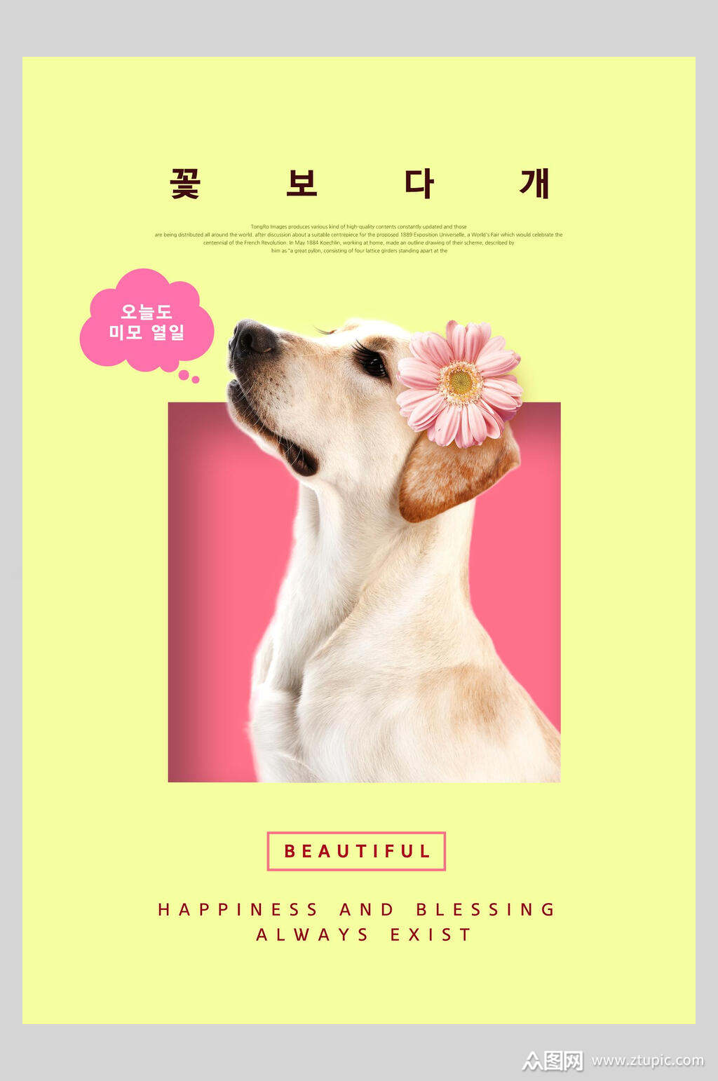 傲气小狗宠物宣传海报素材