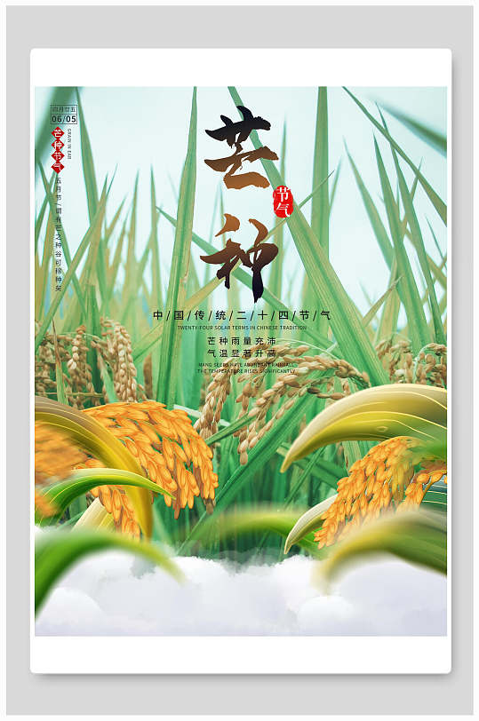 精美芒种稻谷海报