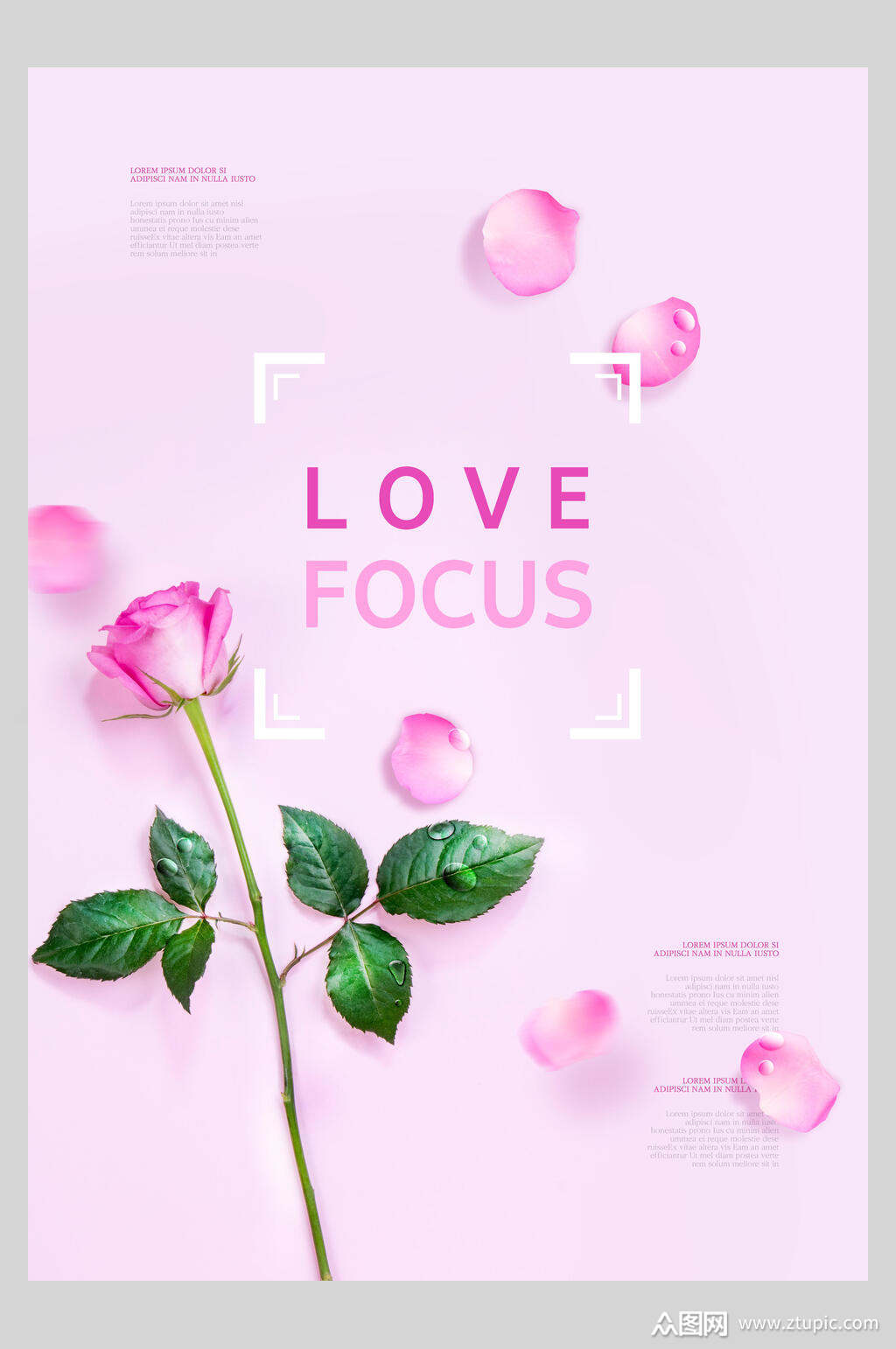 粉色玫瑰爱和感恩节鲜花海报素材