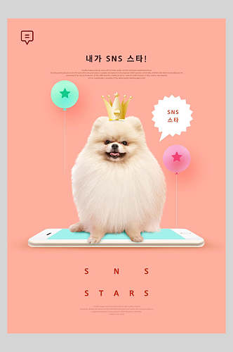 皇冠贵宾犬宠物宣传海报