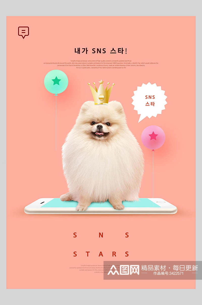 皇冠贵宾犬宠物宣传海报素材