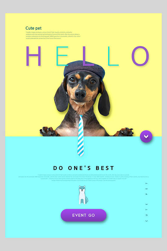领带狗狗宠物宣传海报