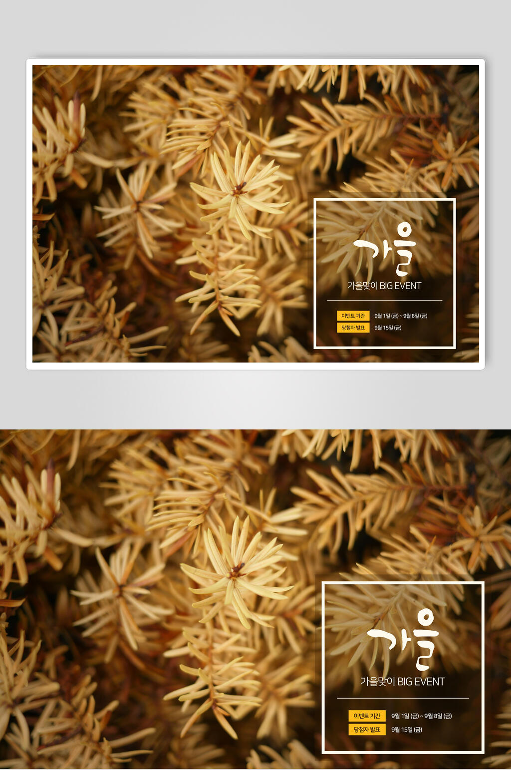 亲近自然黄色植物秋季促销海报素材