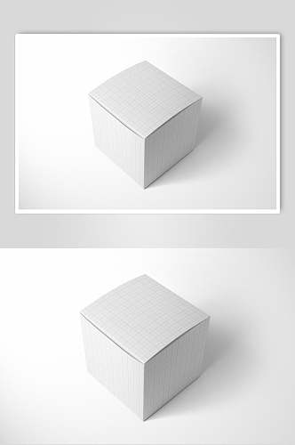 方形创意大气清新纸盒包装展示样机