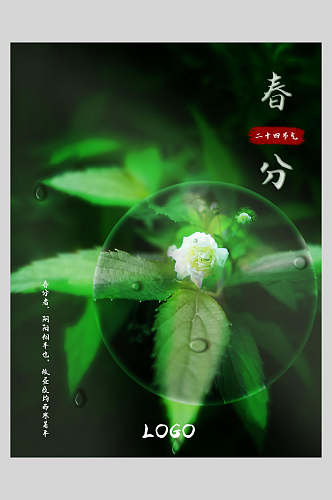 绿色绿色花朵春风节气海报