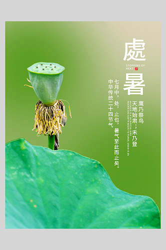 绿色素雅二十四节气处暑海报