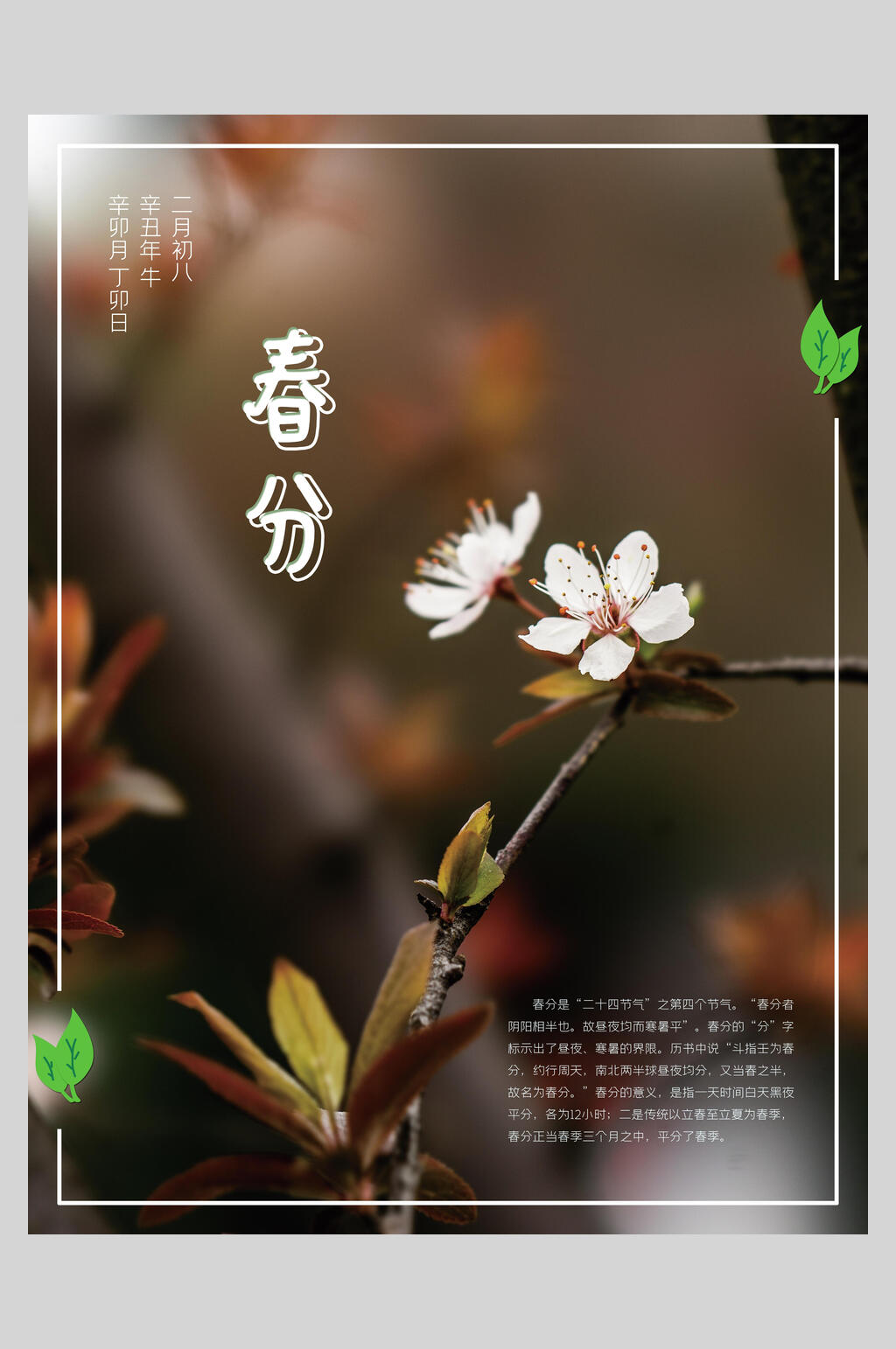 春风节气海报素材