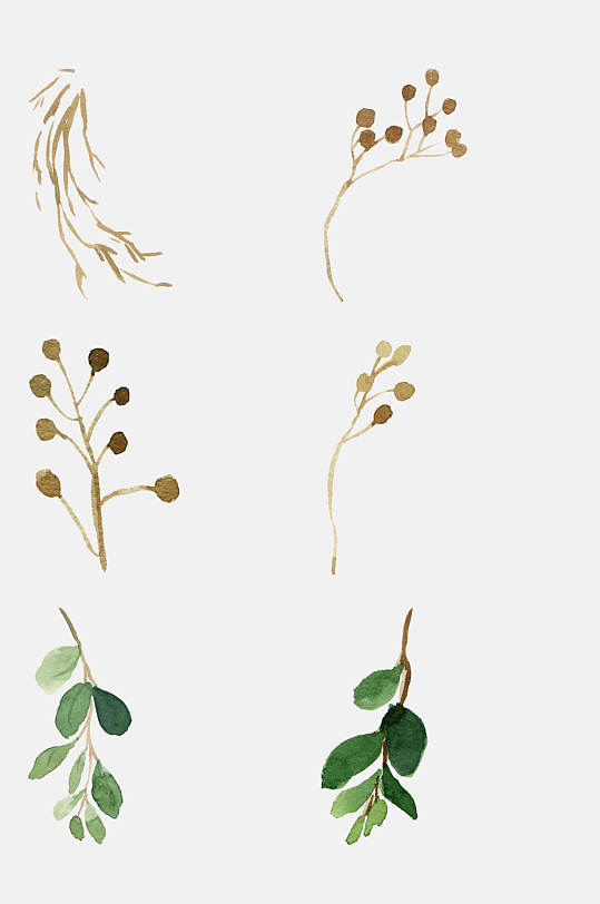 手帳植物免摳素材