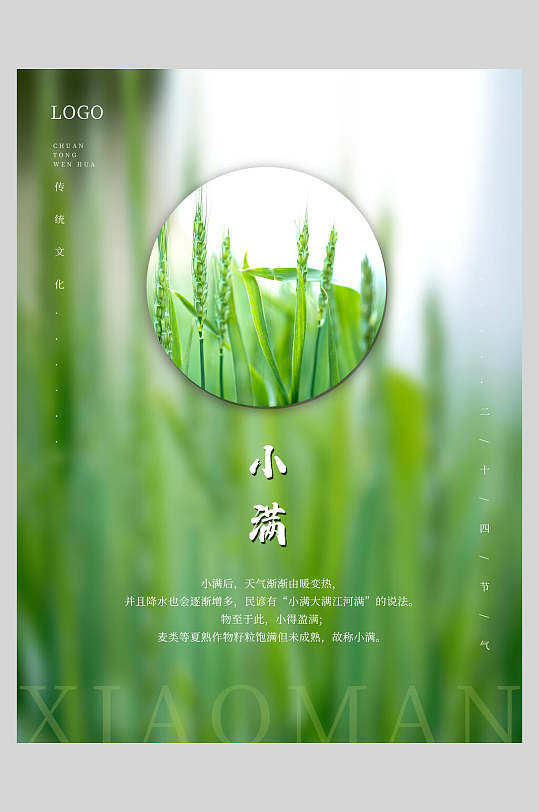 二十四節(jié)氣小滿綠色小清新海報
