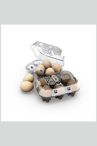 营养鸡蛋储存盒展示样机