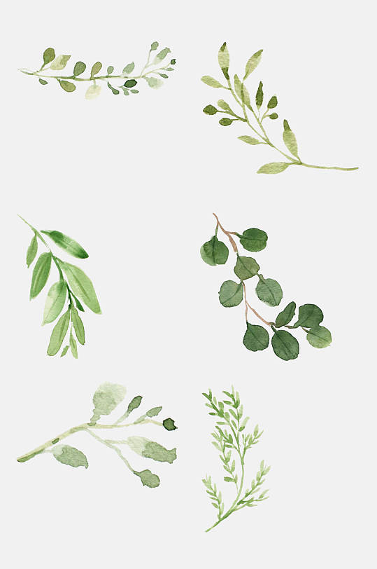 綠色手帳植物免摳素材