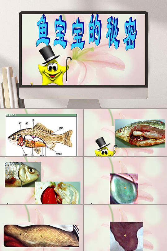 大班科学鱼宝宝的秘密绘本故事ppt