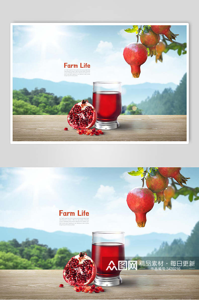 红石榴汁果汁饮料风景海报素材