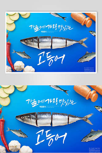 蓝色美味金枪鱼韩国美食海报
