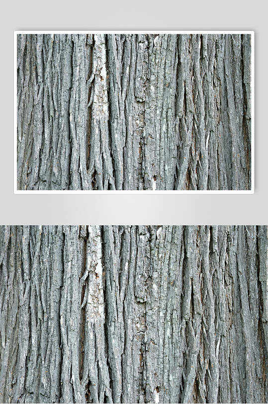 细节放大原始木头木纹图片