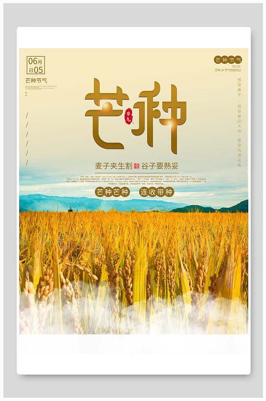 精美芒种金色稻谷海报