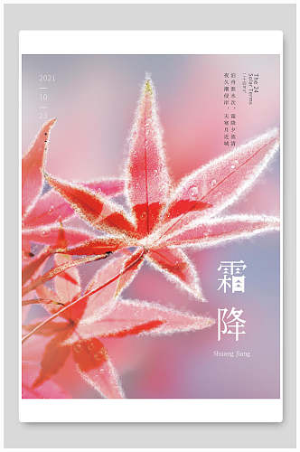 红色枫叶霜降节气海报