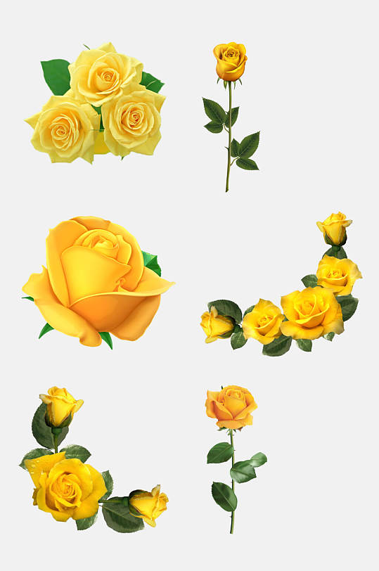 粉色月季花矢量图图片-粉色月季花矢量图设计素材-粉色月季花矢量图