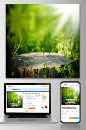 春季草丛促销电商主图