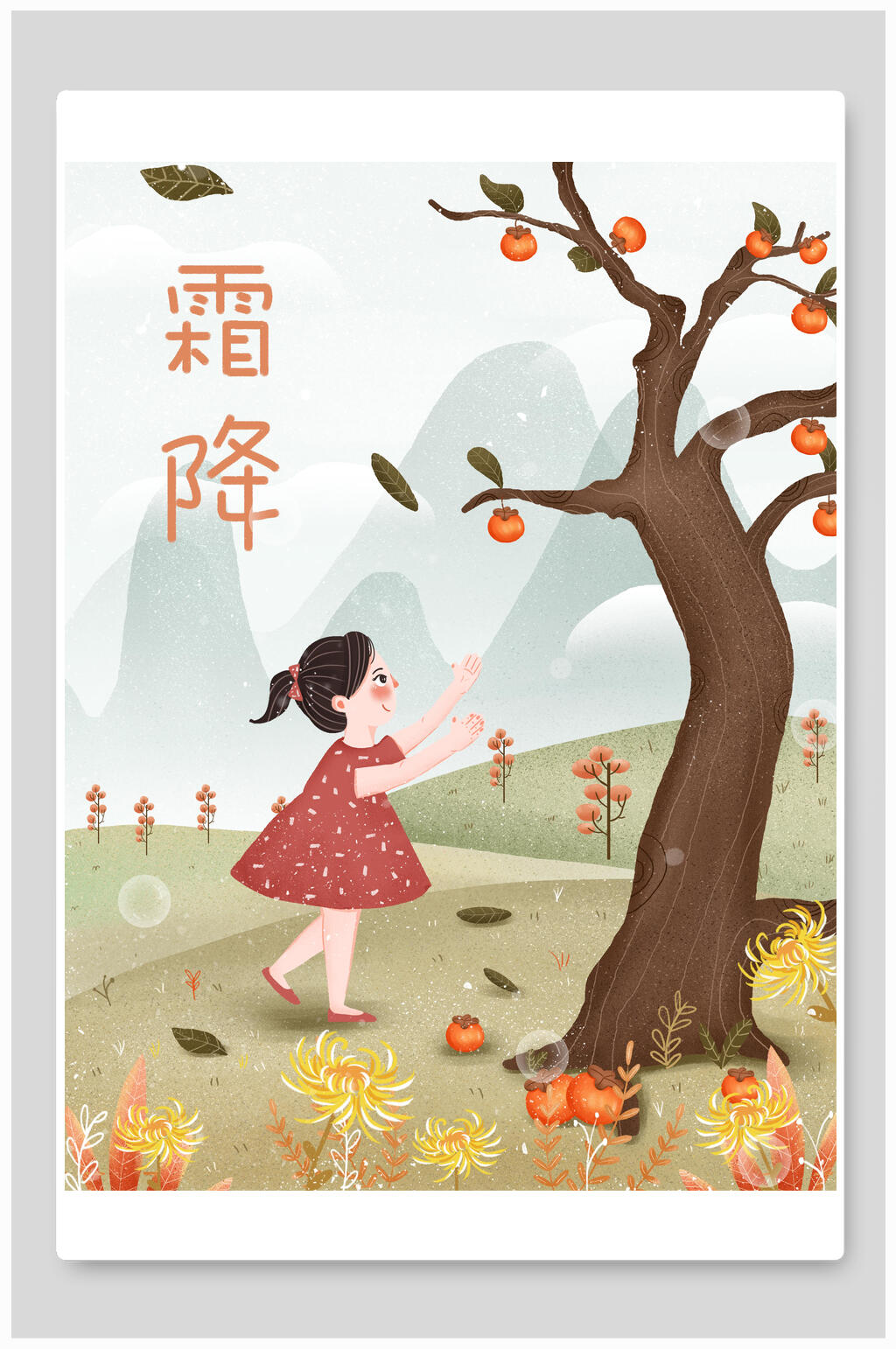 中国风柿子丰收传统霜降节气插画素材