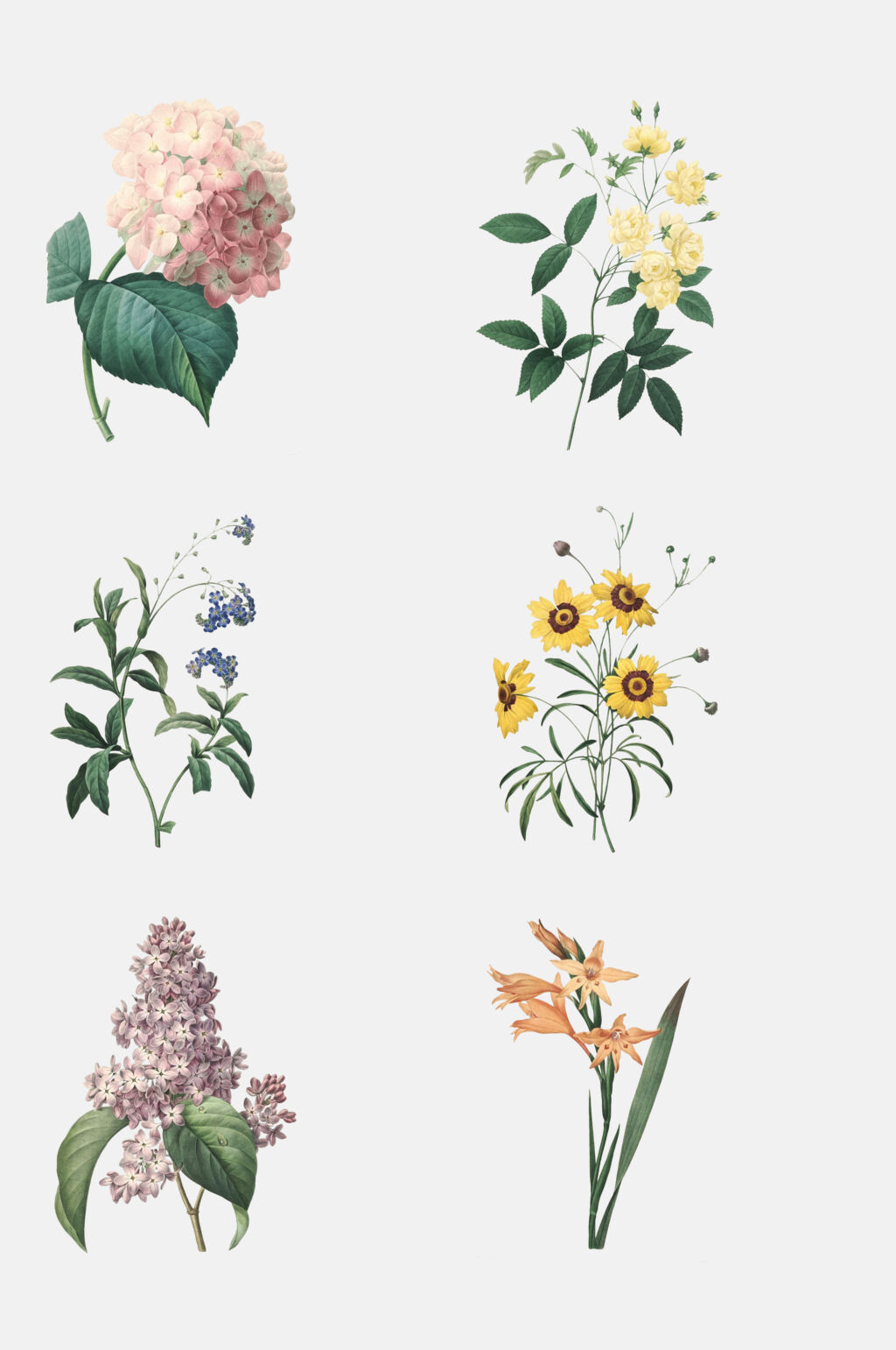 复古时尚花卉鲜花免抠素材素材