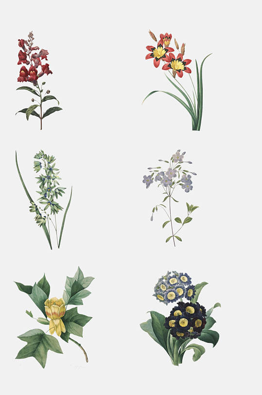 绿色复古时尚植物花卉免抠素材