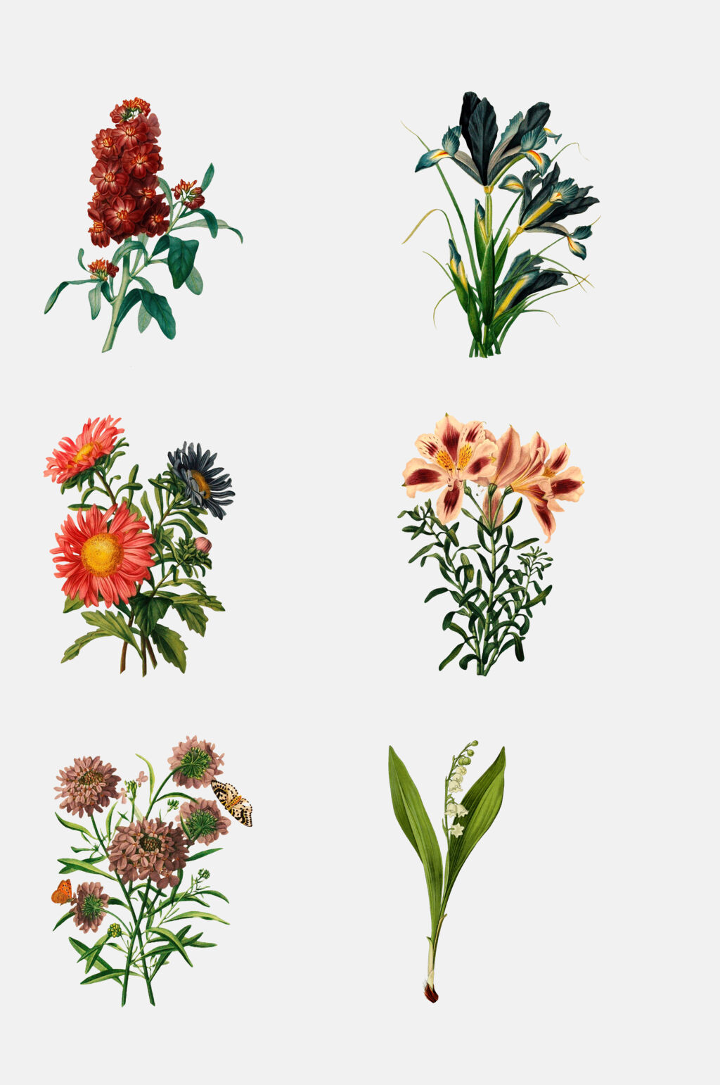 清新复古时尚鲜花植物花卉免抠素材素材