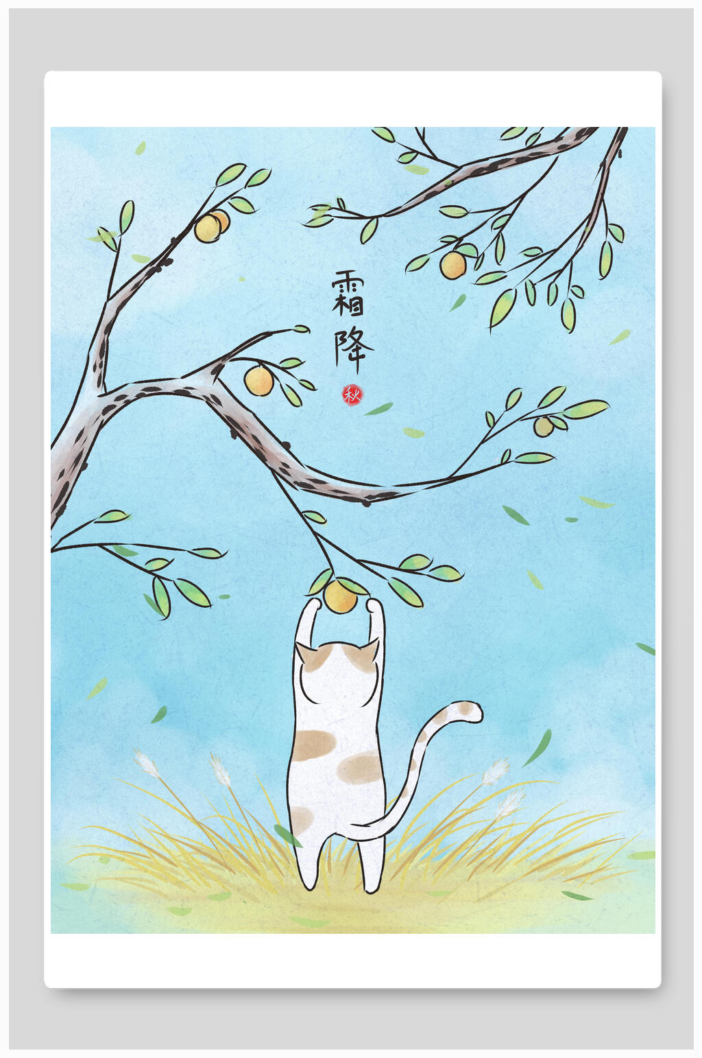 小猫摘柿中国风传统霜降节气插画素材