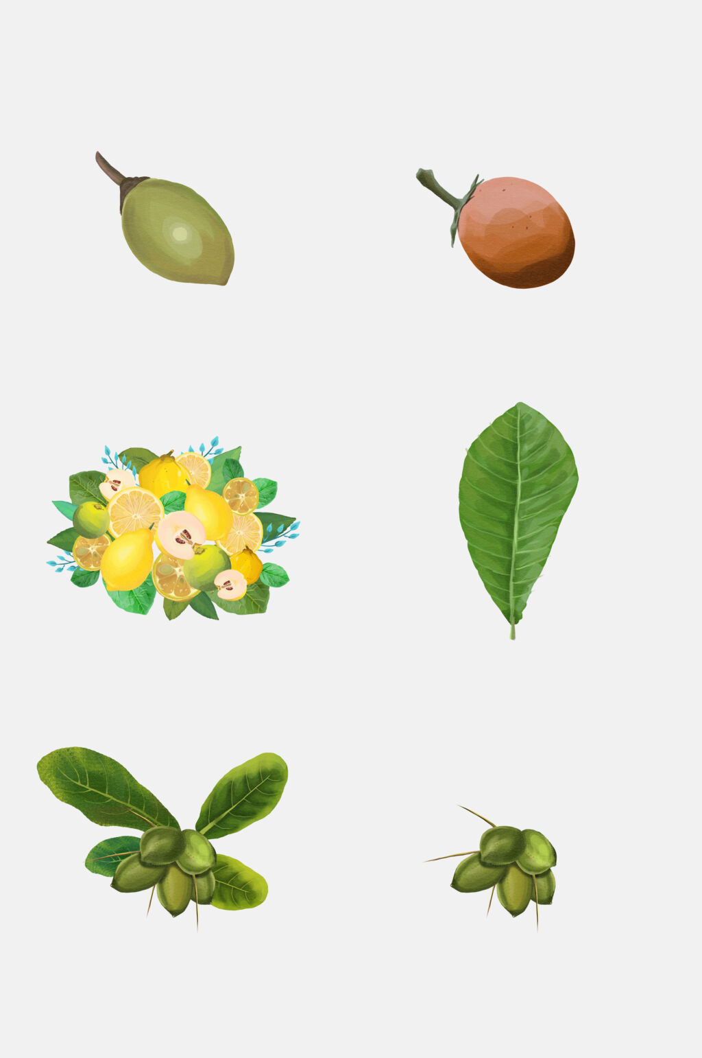 清新绿色水彩水果植物花卉免抠素材素材