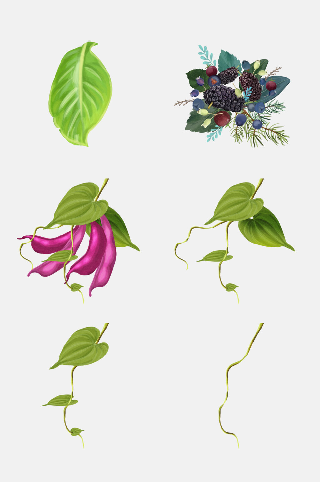 水彩清新时尚水果植物花卉免抠素材素材