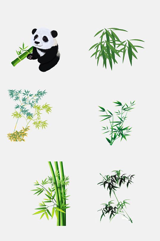 植物翡翠竹子竹叶免抠素材