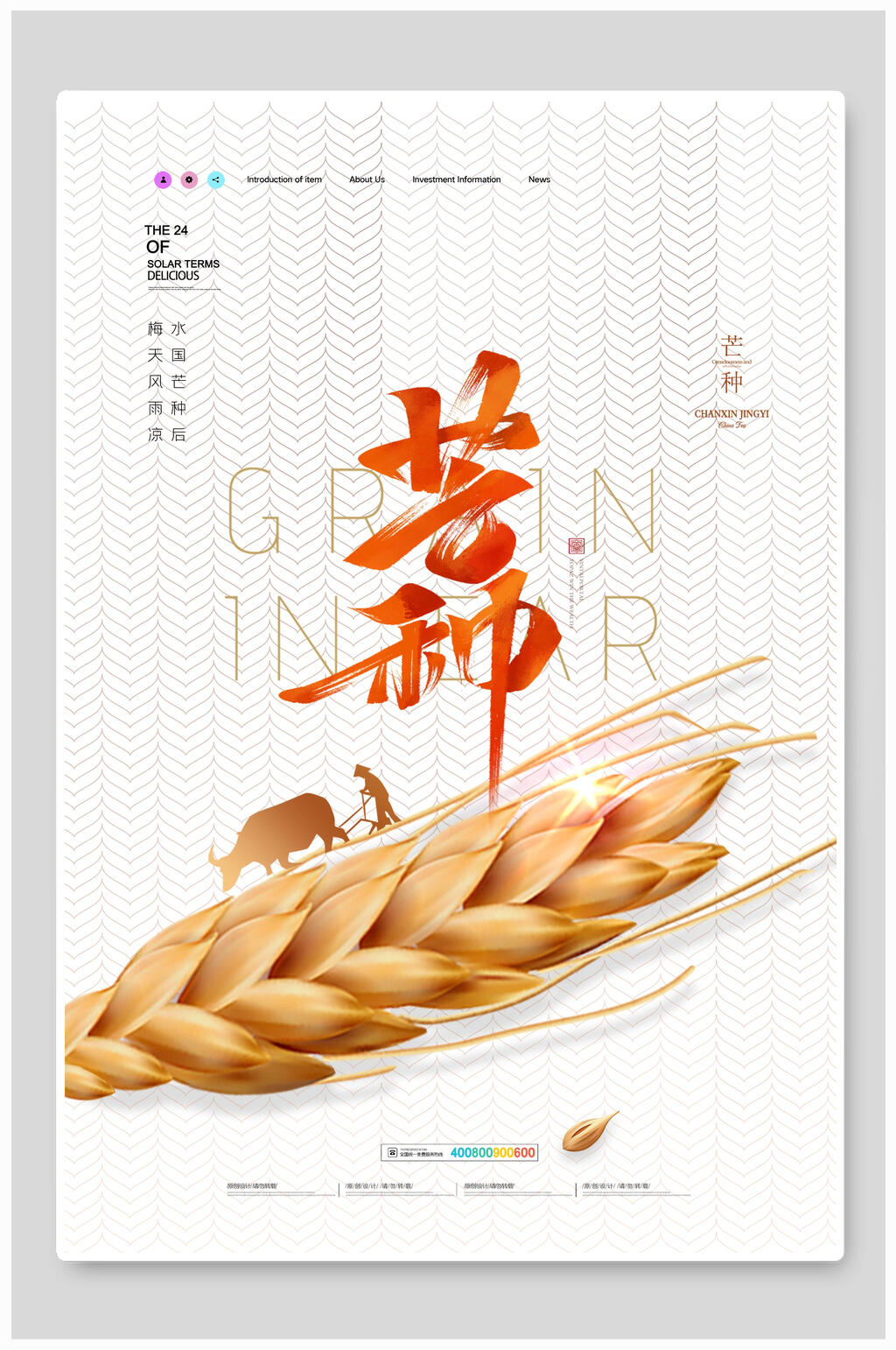 中国风二十四节气芒种海报素材