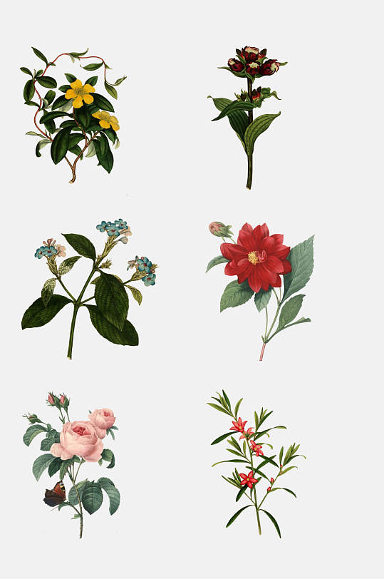 复古时尚花卉植物免抠素材