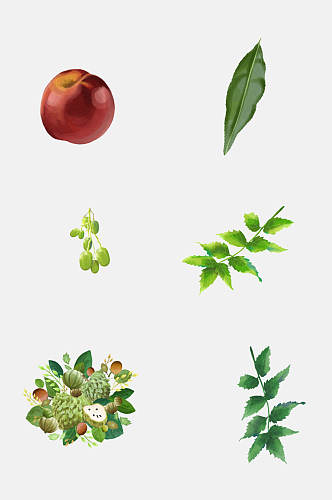 水彩绿色有机水果植物花卉免抠素材
