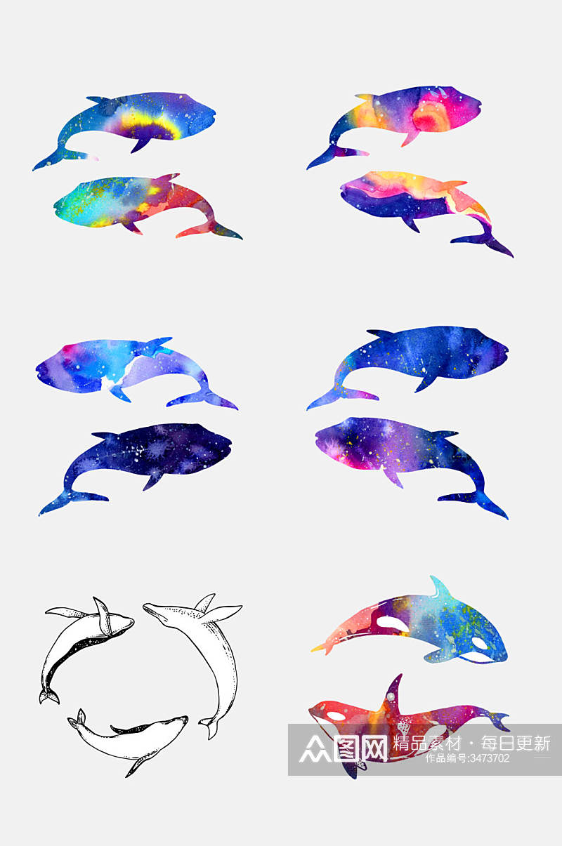 炫彩海豚鲸鱼免抠素材素材