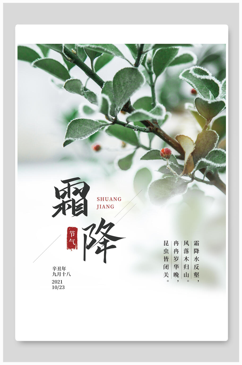 简洁创意二十四霜降节气海报素材
