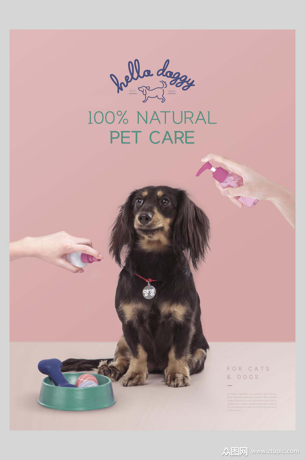 粉色宠物美容创意海报模板下载-编号3479613-众图网