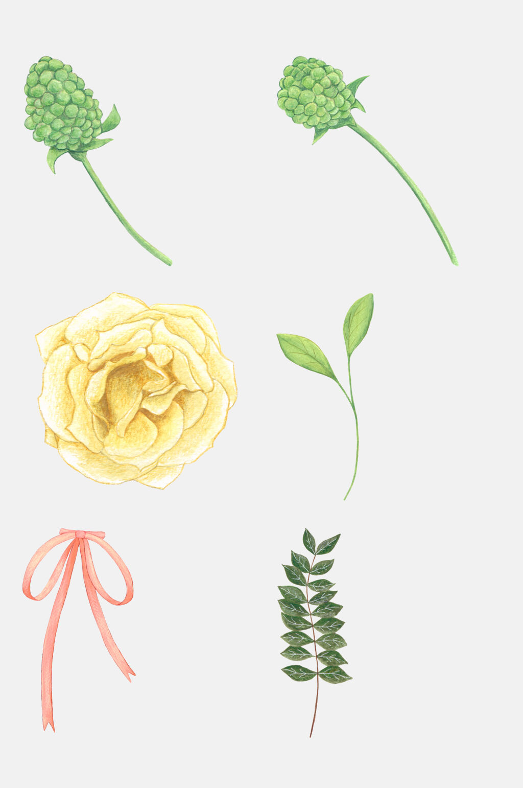 简约花卉免抠元素素材