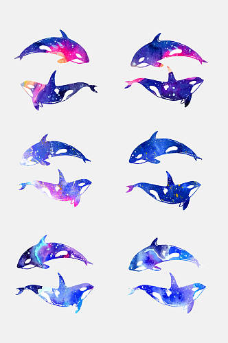 创意时尚海豚鲸鱼免抠素材