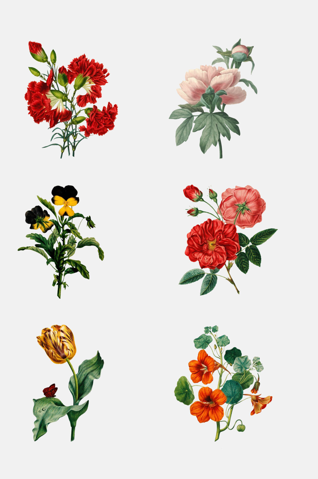 复古时尚花卉植物免抠素材素材