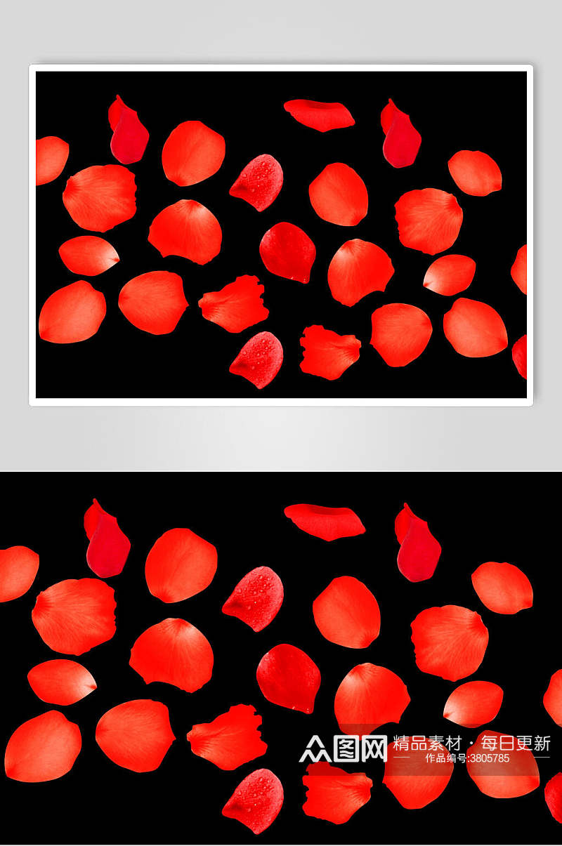 红色飘花花瓣设计素材素材